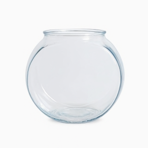 DESK TOP AQUARIA AND FISH BOWLS