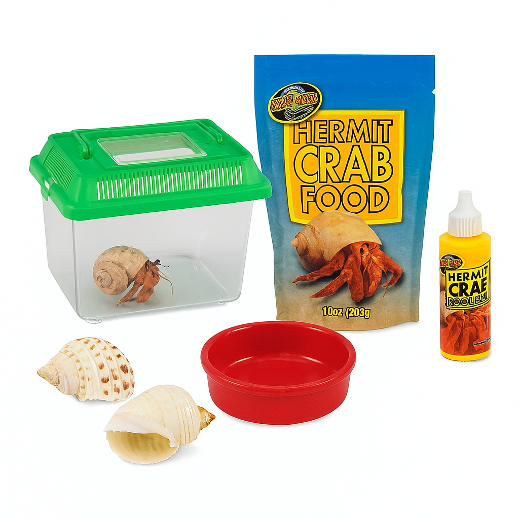 HERMIT CRAB SUPPLIES