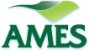 ames logo detail